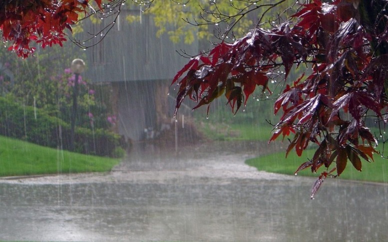 Rayonlarda yağış, külək - FAKTİKİ HAVA