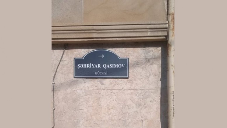 Şəhid adları verilmiş küçələrdə onların statusu niyə qeyd olunmur? - “Nazirlər Kabineti Lermontovdadır...”