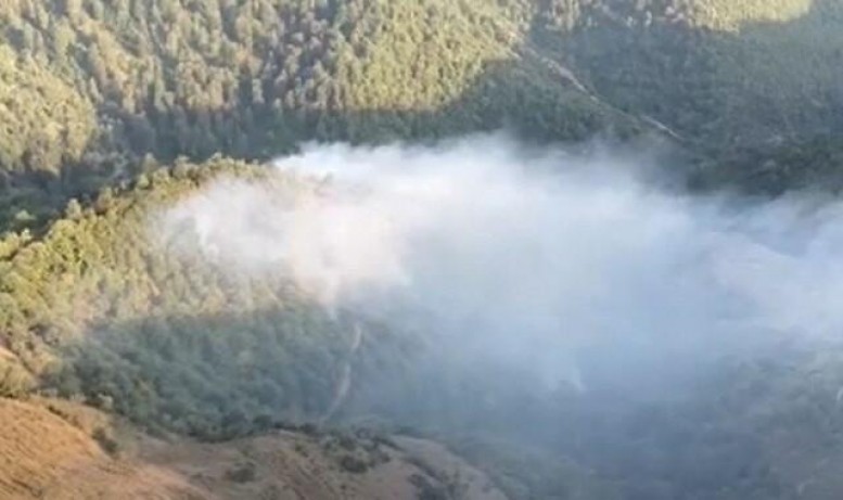 Azərbaycanda bu ərazilərdə də yanğın başladı