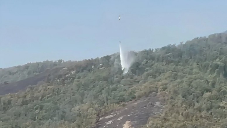 Qazaxda meşəlik ərazidə yanğın başladı: İki helikopter cəlb olundu