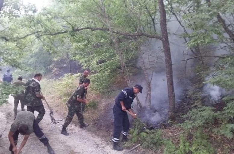 Ağdərədə meşəlik ərazidə yanğın başladı