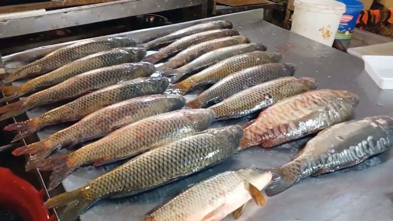 Bakı bazarlarında balıq da BAHALAŞDI