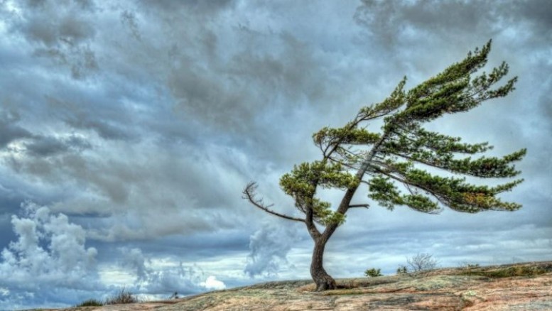 Küləkli və yağıntılı hava şəraiti müşahidə olunur - FAKTİKİ HAVA
