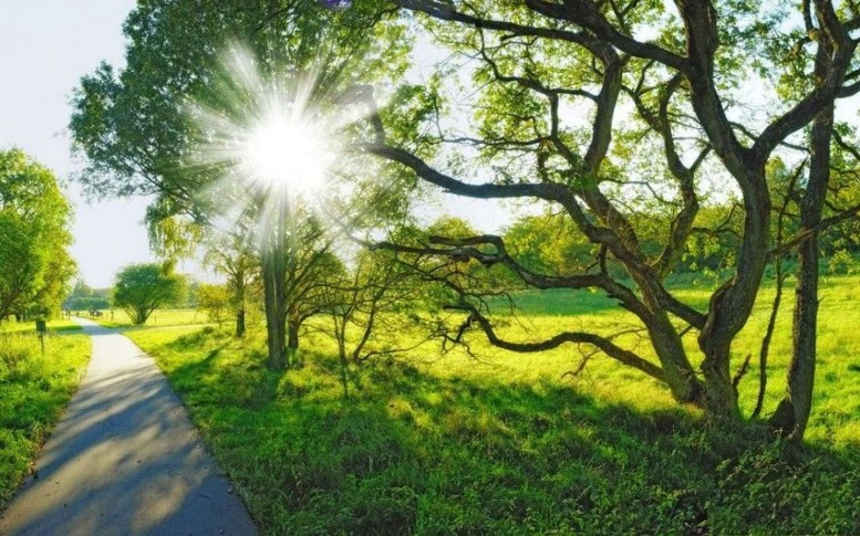 21 dərəcə isti olacaq – Sabahın havası