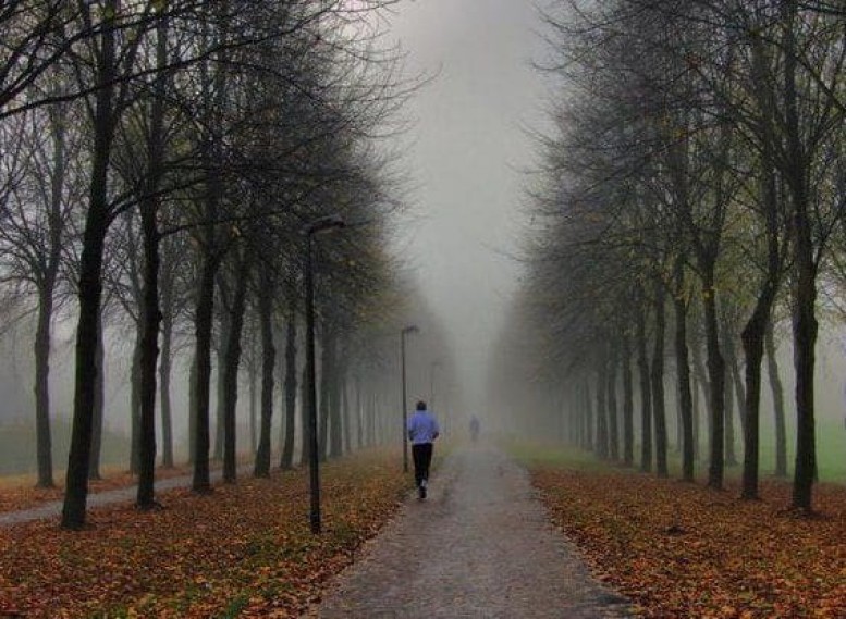Şənbə gününü havası: Çiskin yağış, duman...
