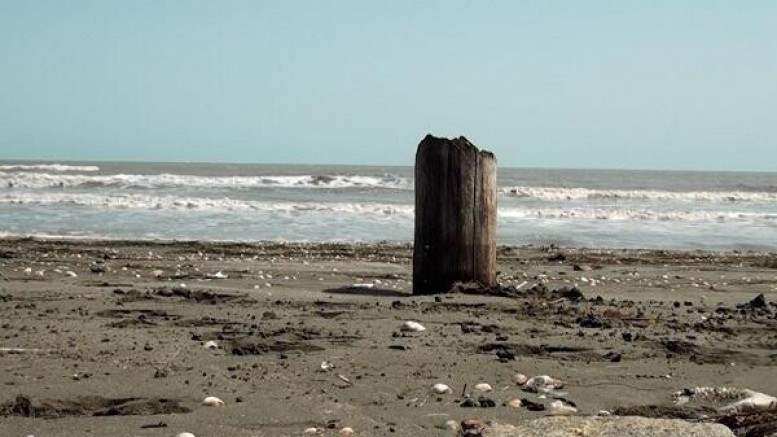 Xəzərdə suyun səviyyəsi endi, ov mövsümü bitdi