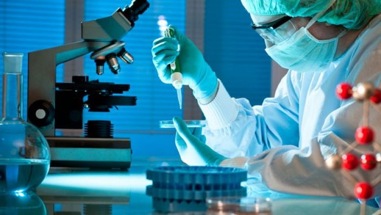 Xərçəngin dərmanı görün hansı heyvanda imiş