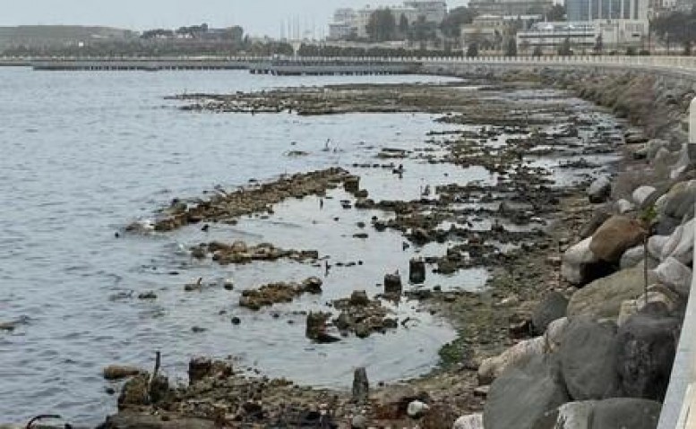 Xəzəri Aral və Urmiyanın taleyi gözləyir? – Ekspert