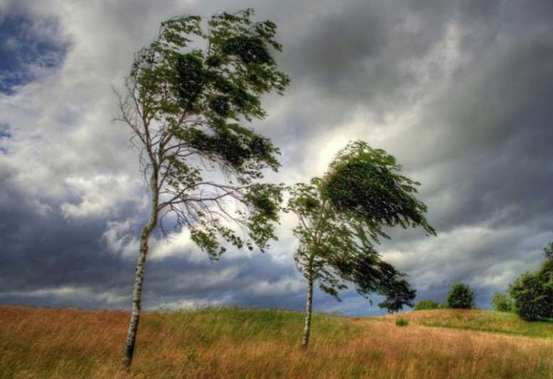Külək güclənəcək - XƏBƏRDARLIQ