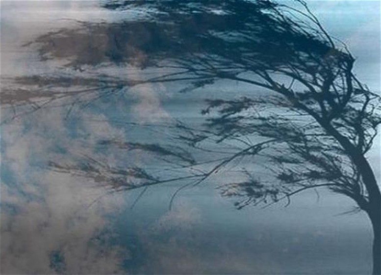 Bu tarixlərdə güclü külək əsəcək - Əhaliyə XƏBƏRDARLIQ