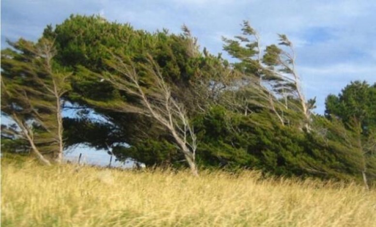 Sabah külək güclənəcək - Xəbərdarlıq