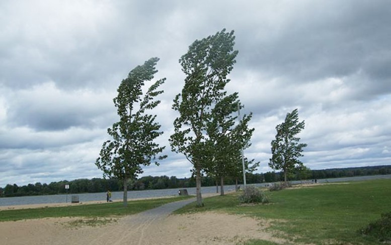 Bakıda güclü külək əsir – Faktiki hava